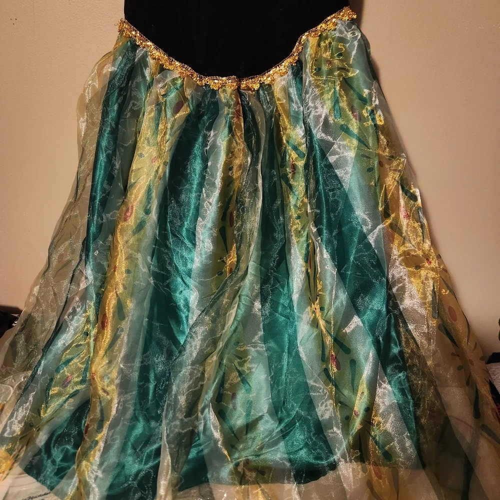 Frozen Princess Anna Dress Adult Size XS - Picture 3 of 4